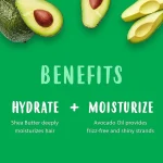 کرم فر کننده آووکادو کنتو Cantu Avocado Hydrating curling cream 340g - Image 2